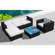 Outdoor Rattan Möbel für Garten mit Sofa Set / SGS (8201-1)